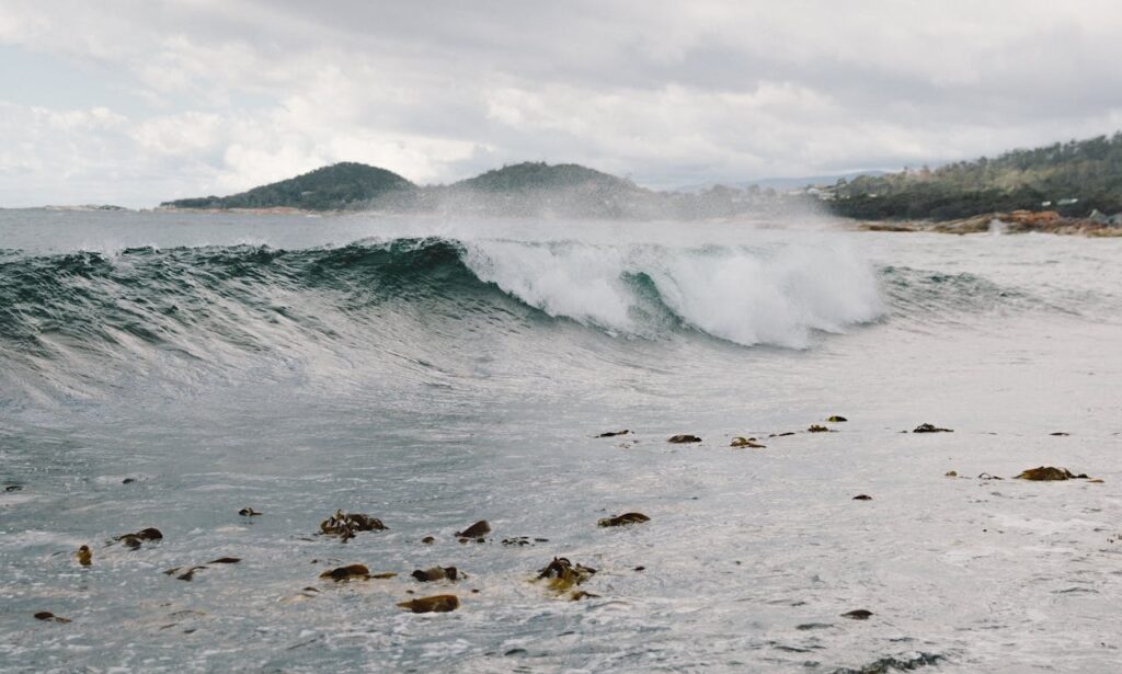 A wave breaking in Bicheno, Tasmania