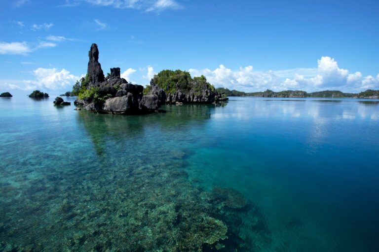 A rocky island, symbolizing Niue Island and it lackness of surfable environment