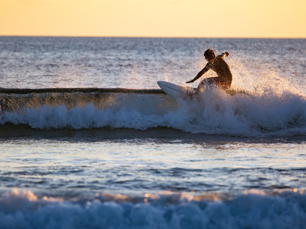 Surfer surfing a wave