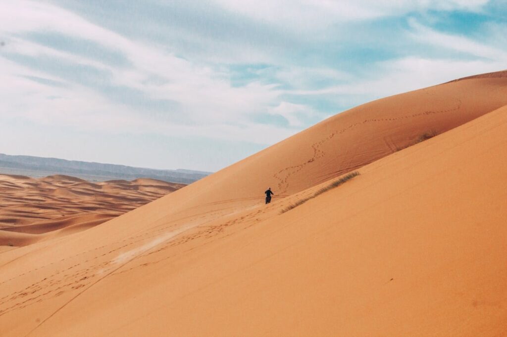 Sand dunes in Western Sahara