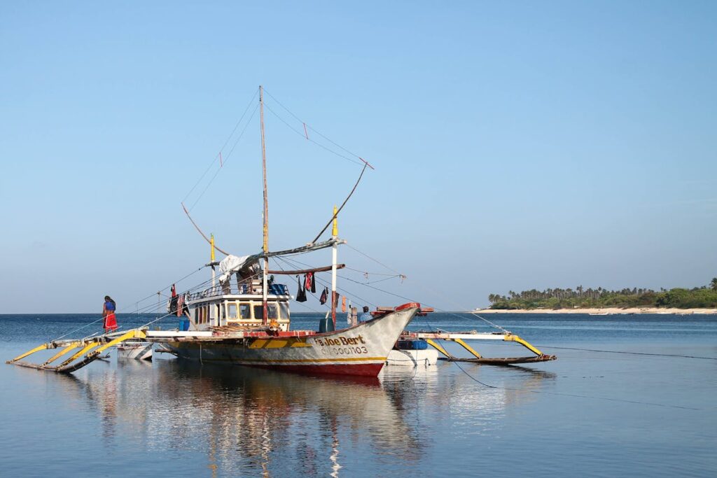 Boat wading in the water