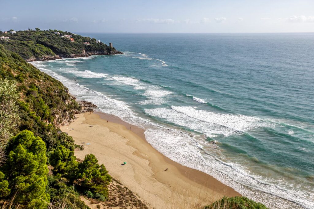Beach birds eye view with waves