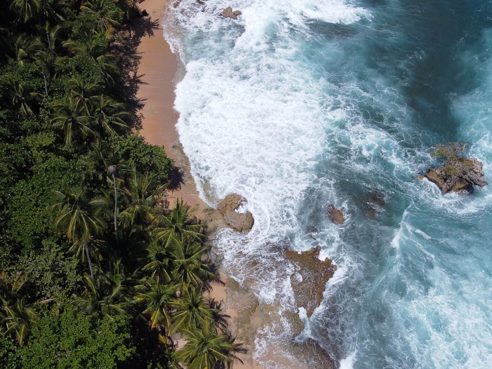 Beach and ocean in Cahuita, Costa Rica