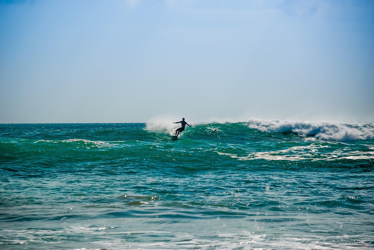 Surf 4456537