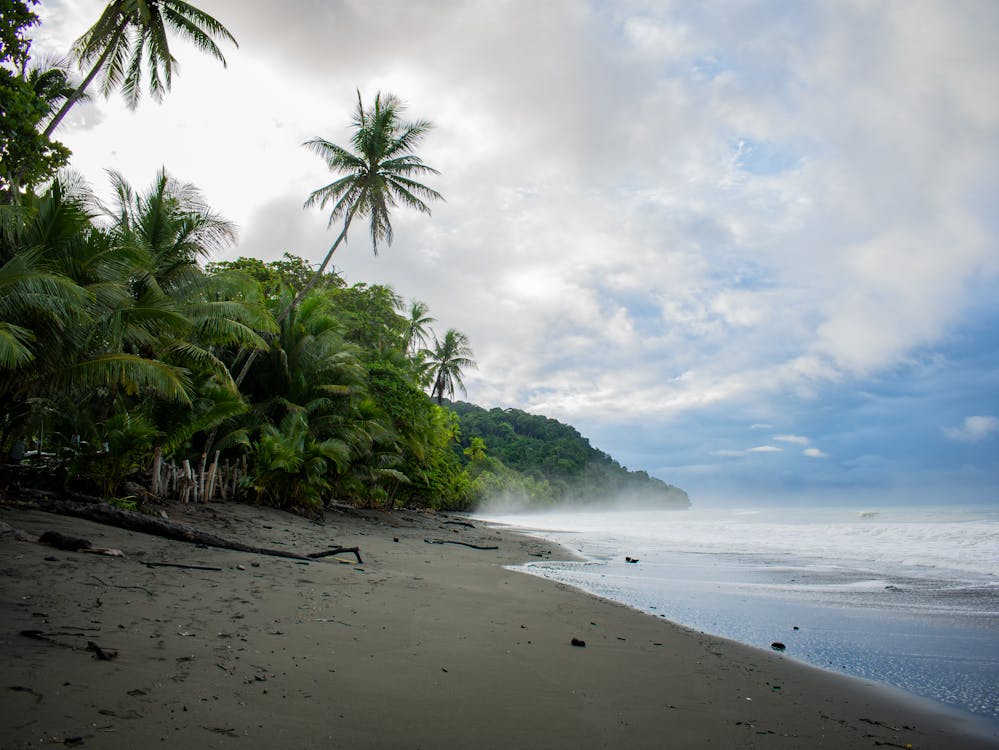 Photo of the coastline of Pavones