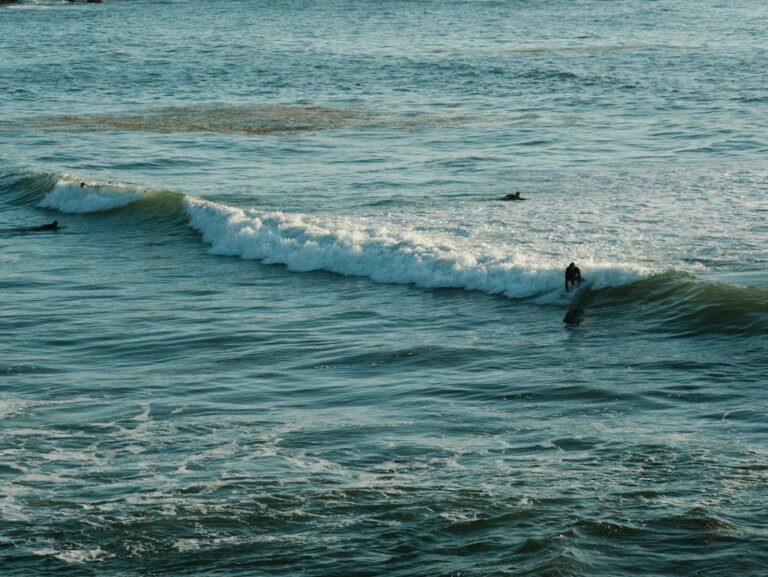 Photo of surfers swimming in the water