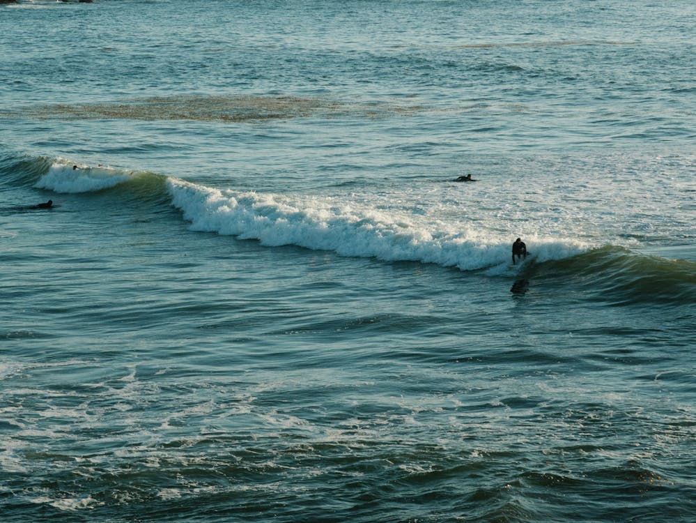 Photo of surfers swimming in the water