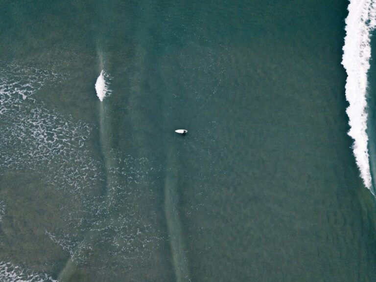 Birdseye view of Oreganos in Peru