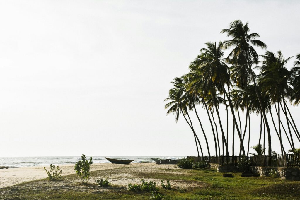 The beautiful beach of Arugam Bay with some scenic palm trees.