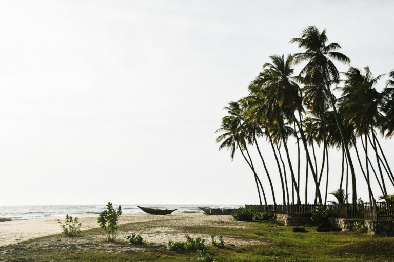 The beautiful beach of Arugam Bay with some scenic palm trees.