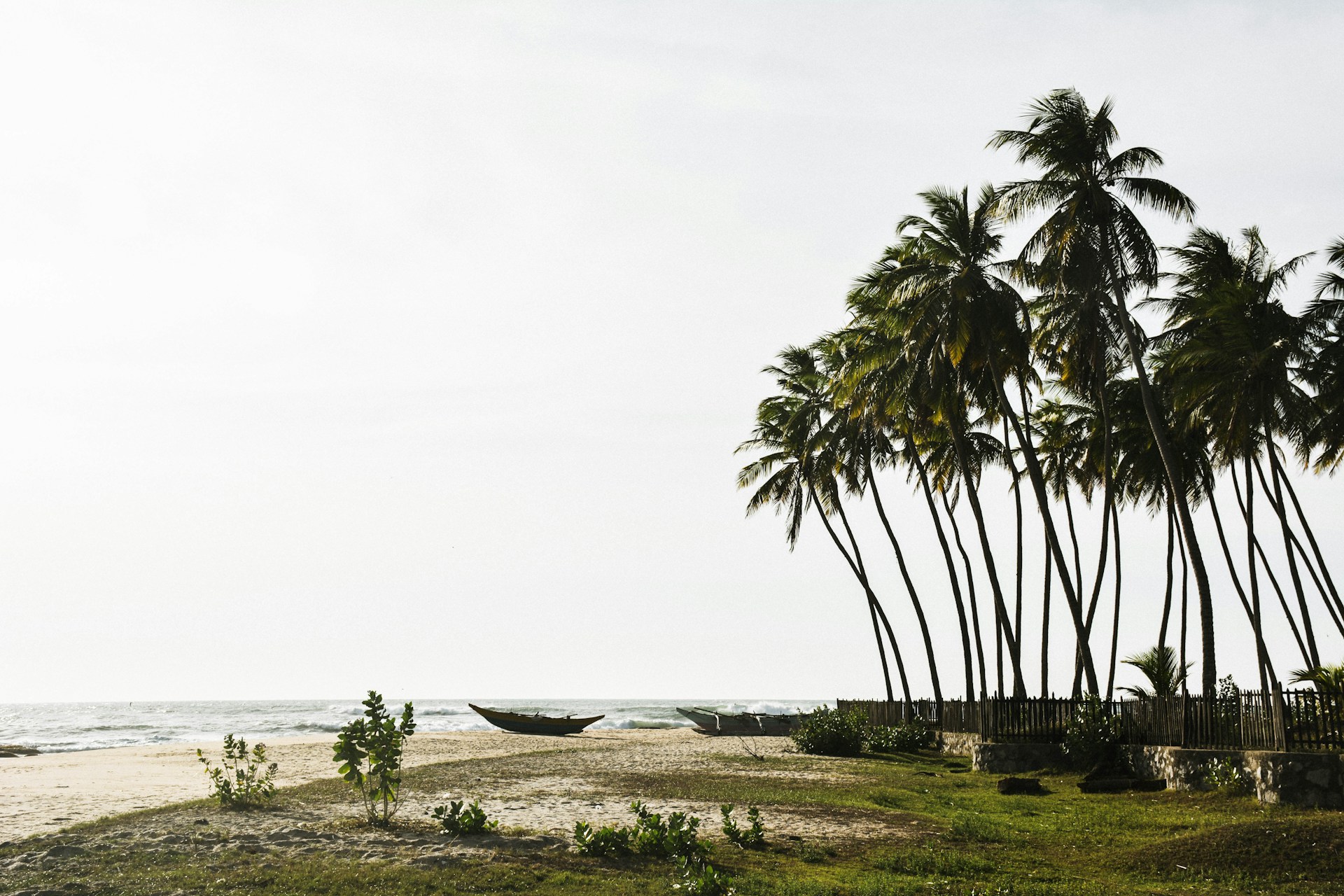 The beautiful beach of Arugam Bay with some scenic palm trees.