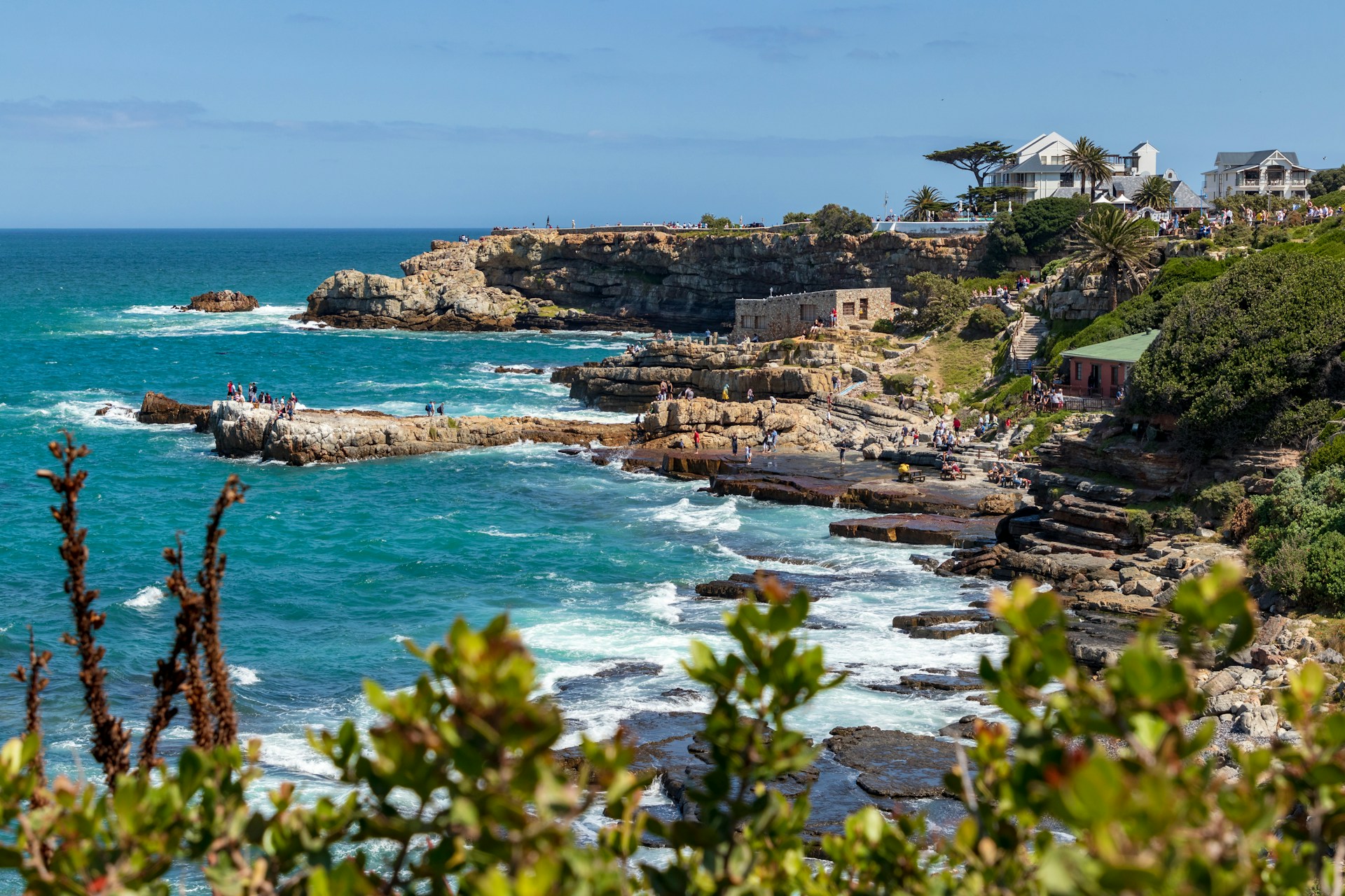 A good shot of part of the hermanus coastline with rocks, bushes, water, and more.