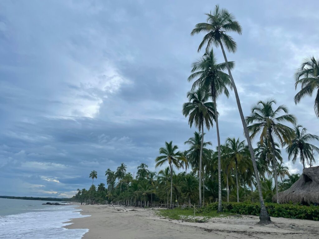 Photo of the coastline in Palomino, Colombia