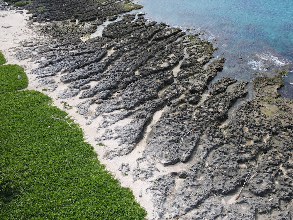 A beach in Pingtung Taiwan showing greenery and rocks