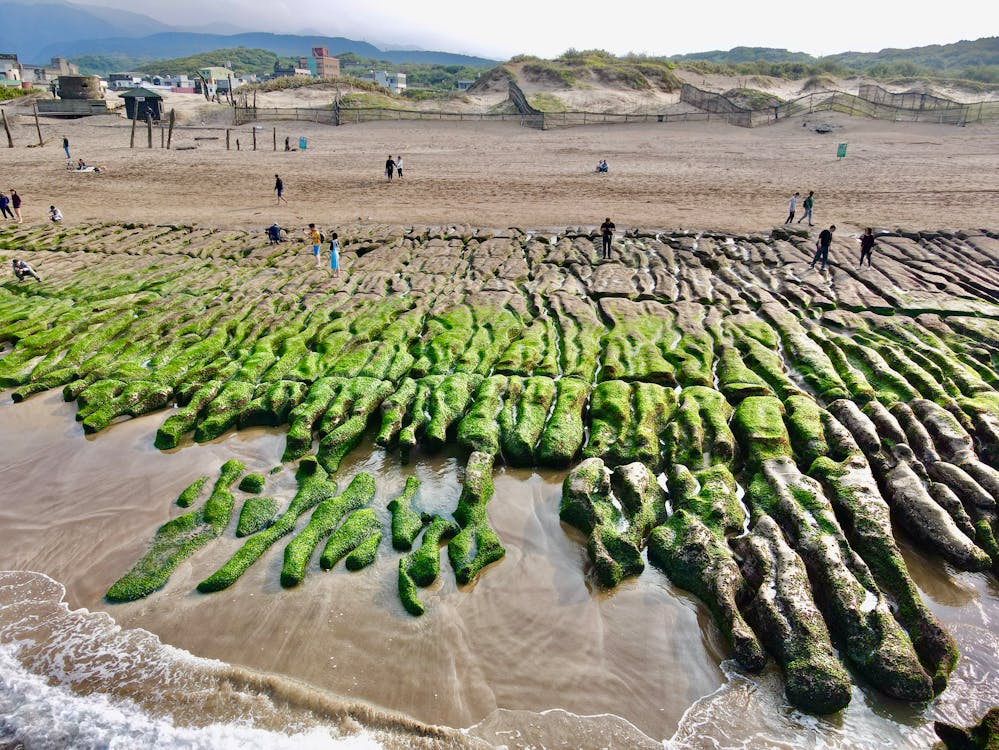 Beach with people walking on it