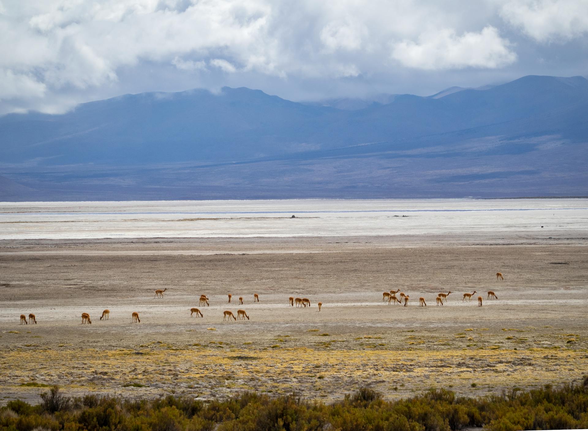 Some of the local landscapes that you can get when looking inland at the mountains.