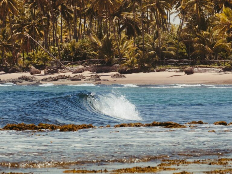 Wave breaking on the coast of Marau