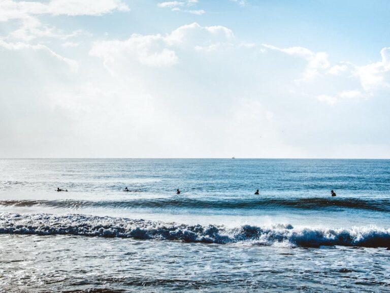 Surfing in Praia do Rosa