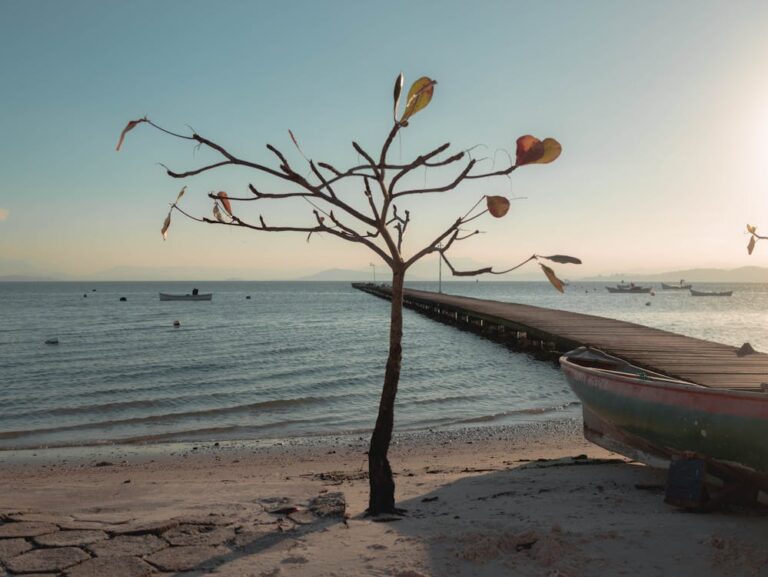 A dock and the open ocean