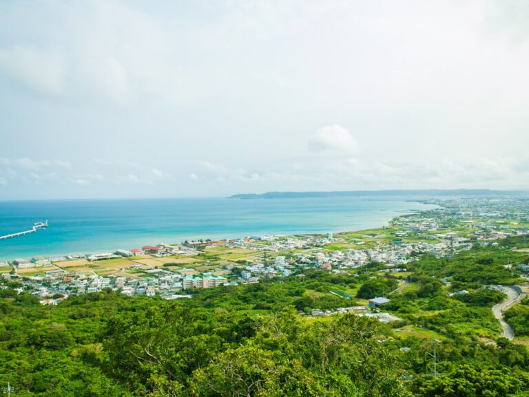 A beautiful birds-eye view of a town in Okinawa