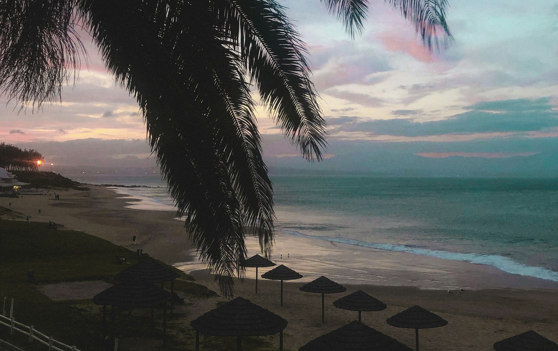 A scenic photo with palm tree, beach chairs, and a beautiful climate.