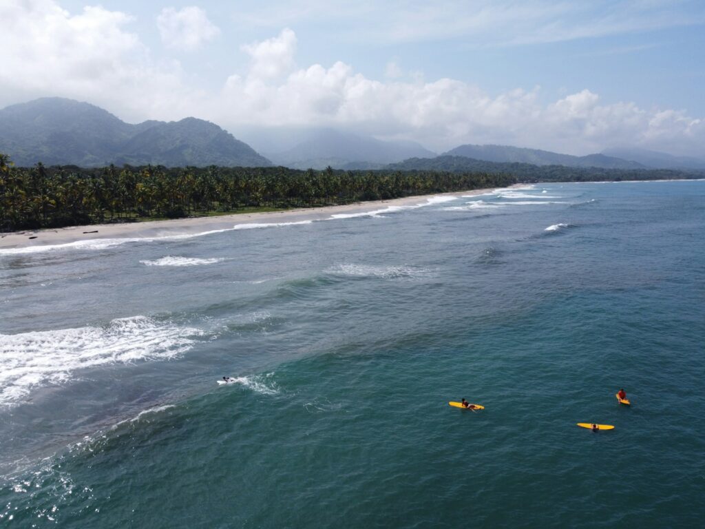 Drone shot of surfers waiting in the water