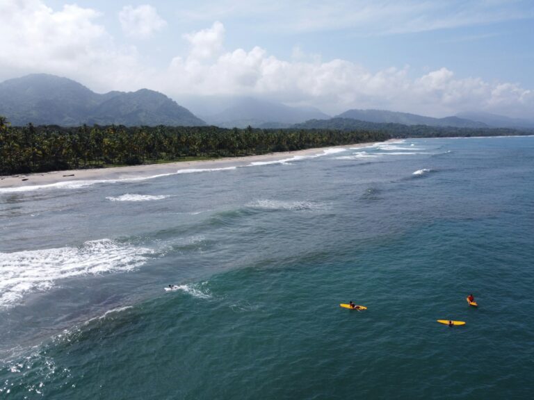 Drone shot of surfers waiting in the water
