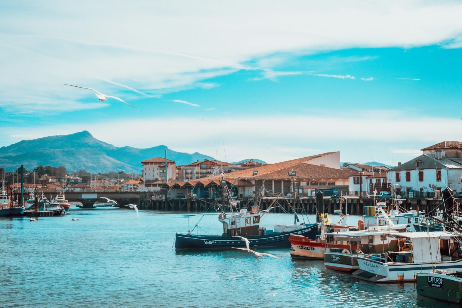 Some natural beauty of boats and houses in the Saint-Jean-de-Luz harbor.