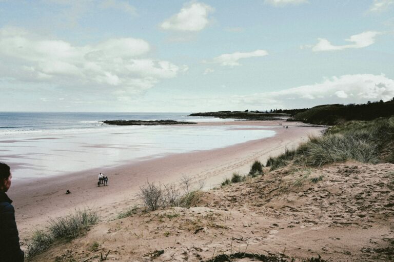 Beach, waves, and beautiful views around Belhaven Bay.