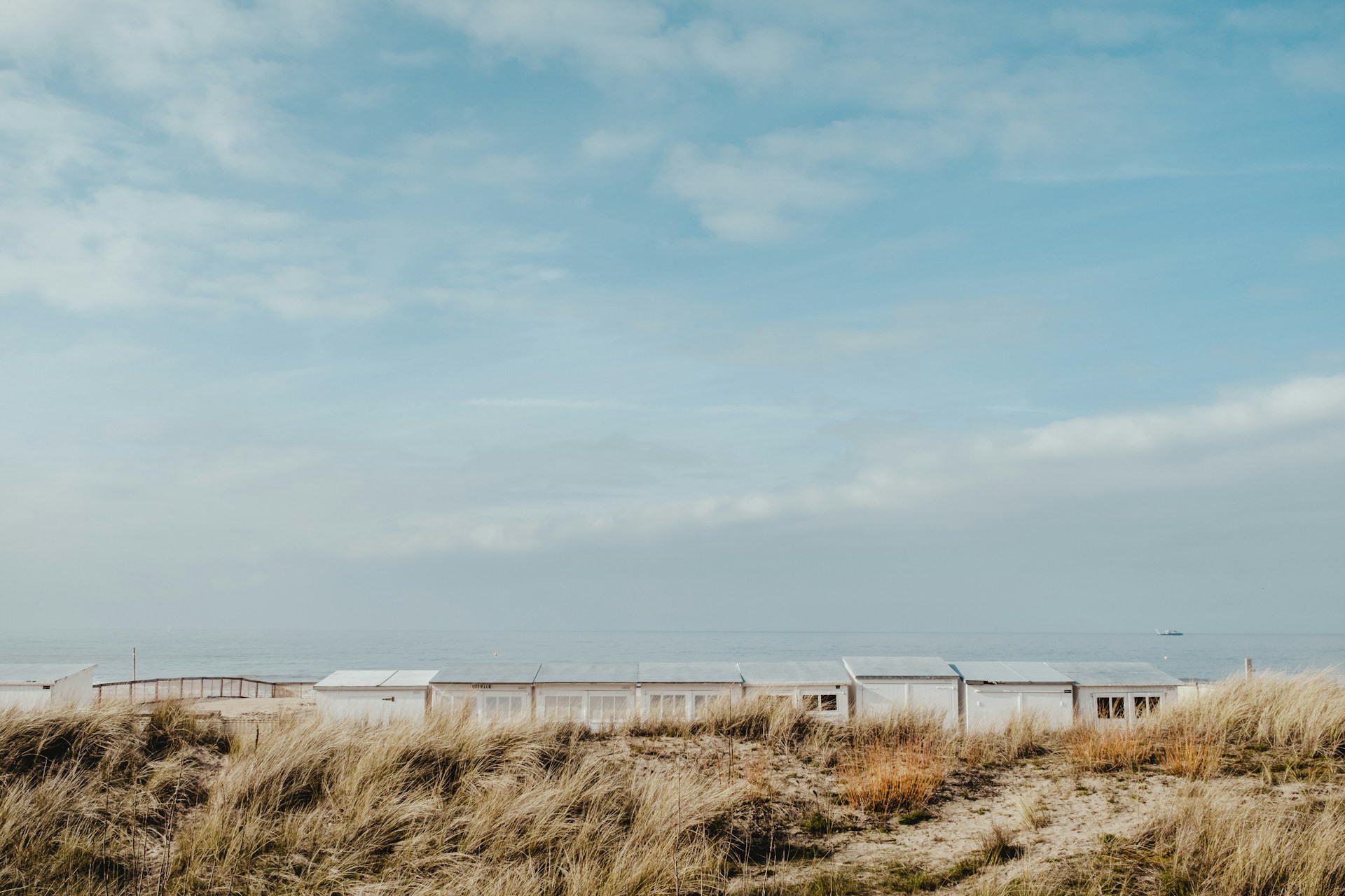 How most of the Belgium's coastline looks. Dunes and beaches.