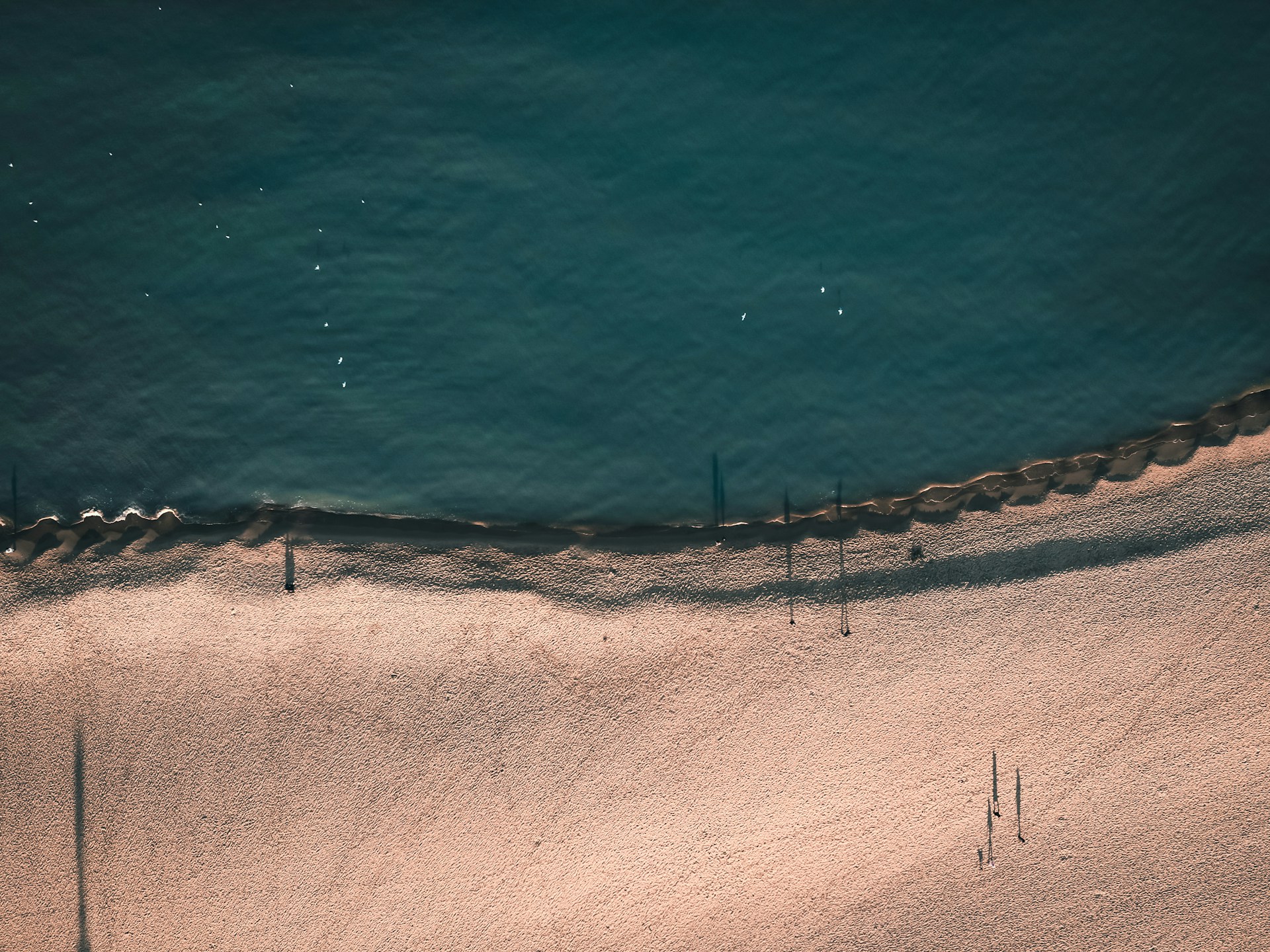 A birdeye view of the curving shoreline in Gdansk.
