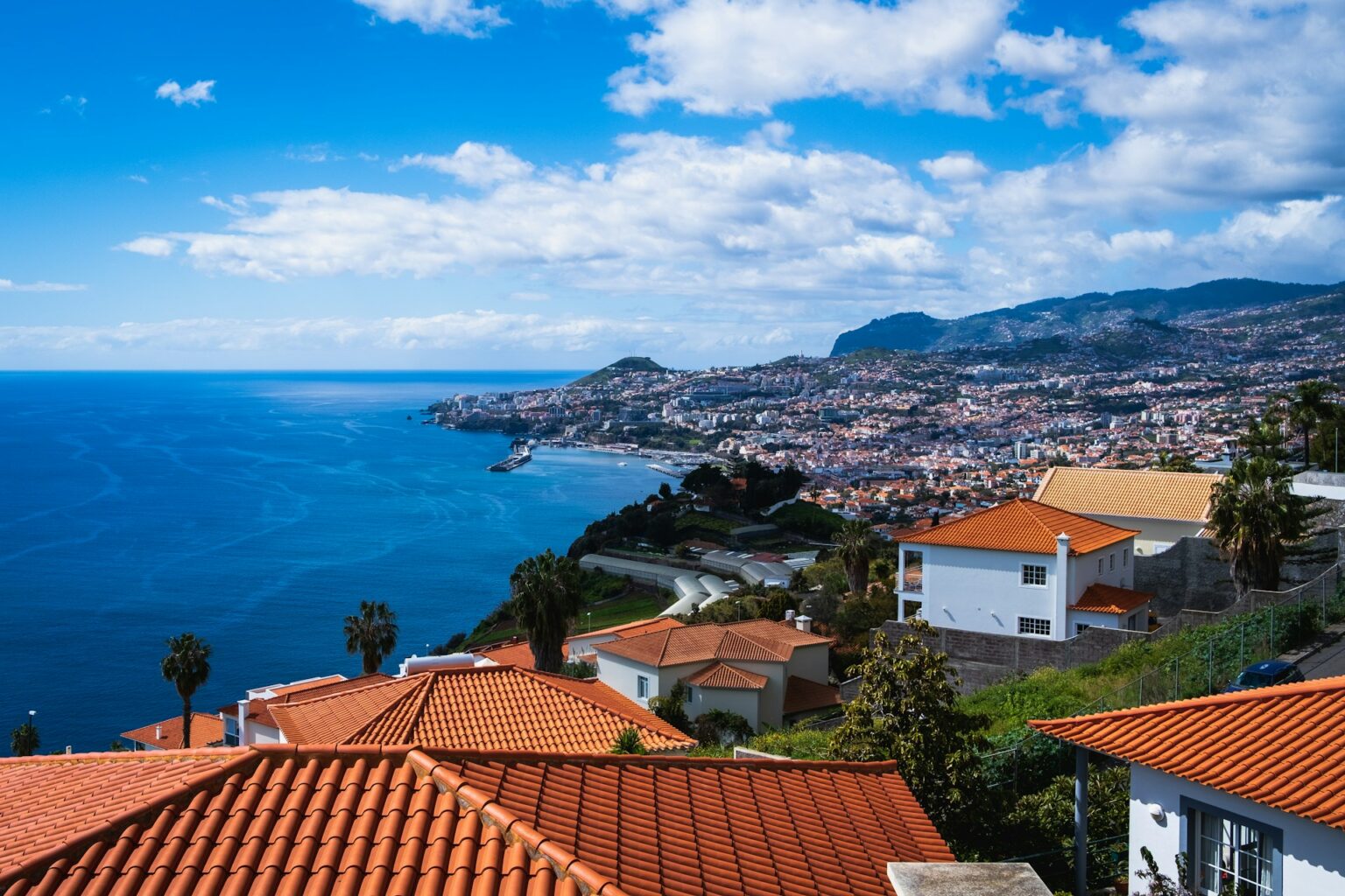 Just a shot of the overview of Funchal.