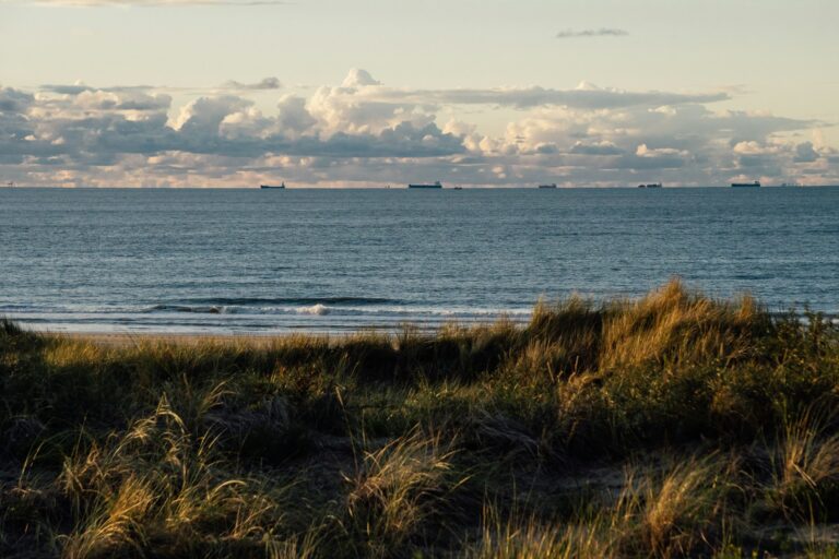 A landscape show of the dunes and the a couple waves breaking.