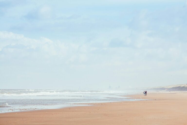 A long openwide beach in the Netherlands.