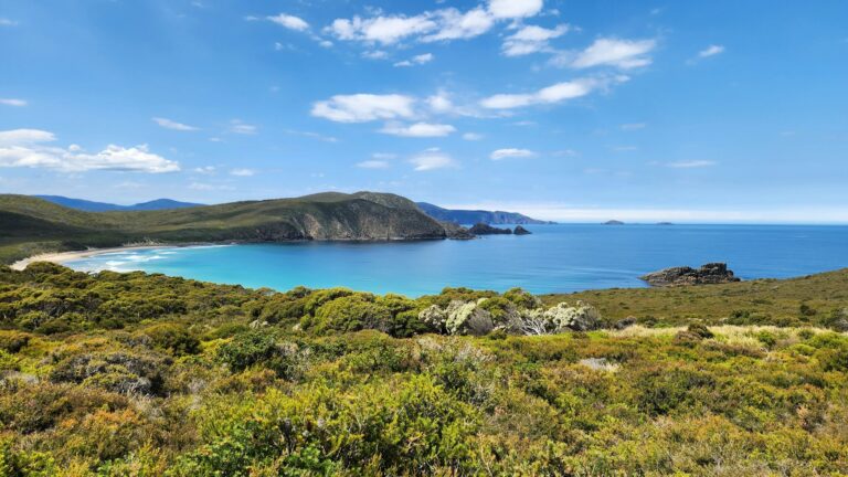 A area near Clifton beach with sunny weather, blue seas, and green shrubery.