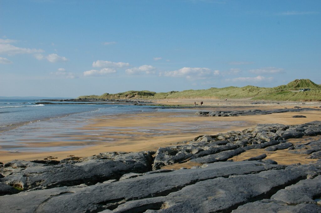 The beautiful beach of Fanore with its sandy beaches, rock walls, and greenery.