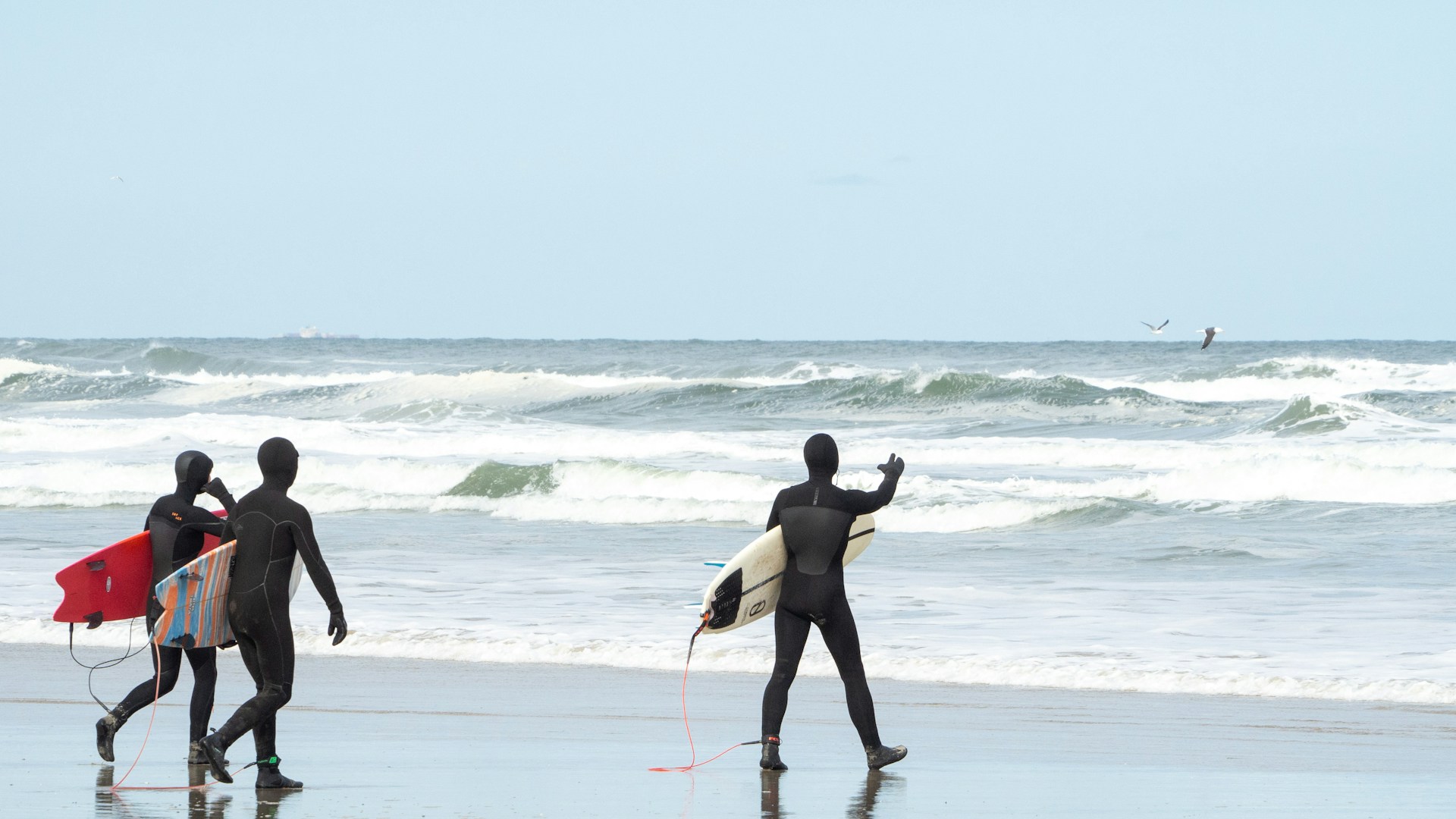 Some surfers walking on the beach and checking out the waves in A beautiful tree overlooking the large area of Terschelling.