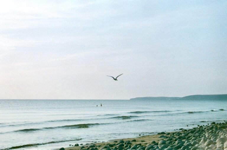 A beautiful short of some of the rocky coastline around Westward Ho!