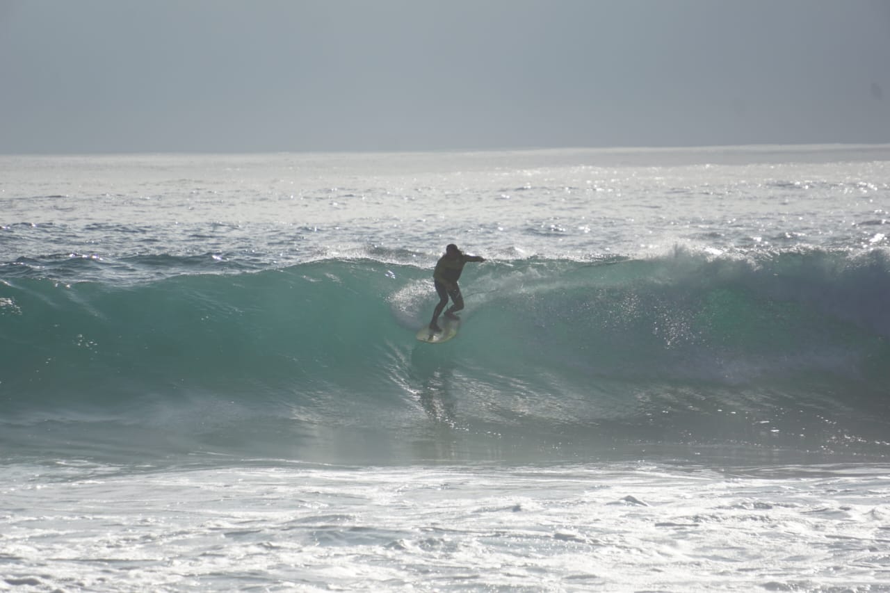 A surfer enjoying a nice line. Photo provided by Portofino Surf Camp.